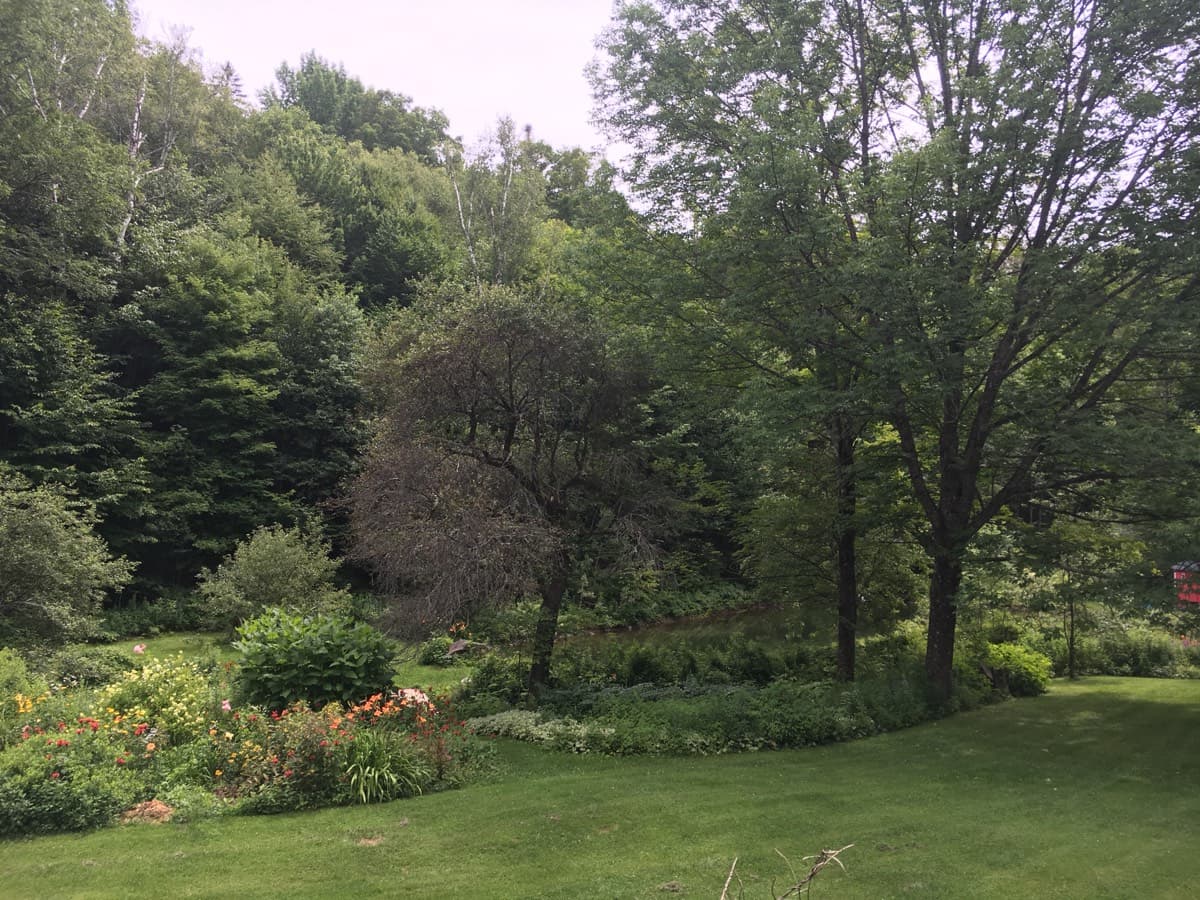 Deep summer green at Miller Pond, the gardens in bloom along the lawn and the pond showing through the trees