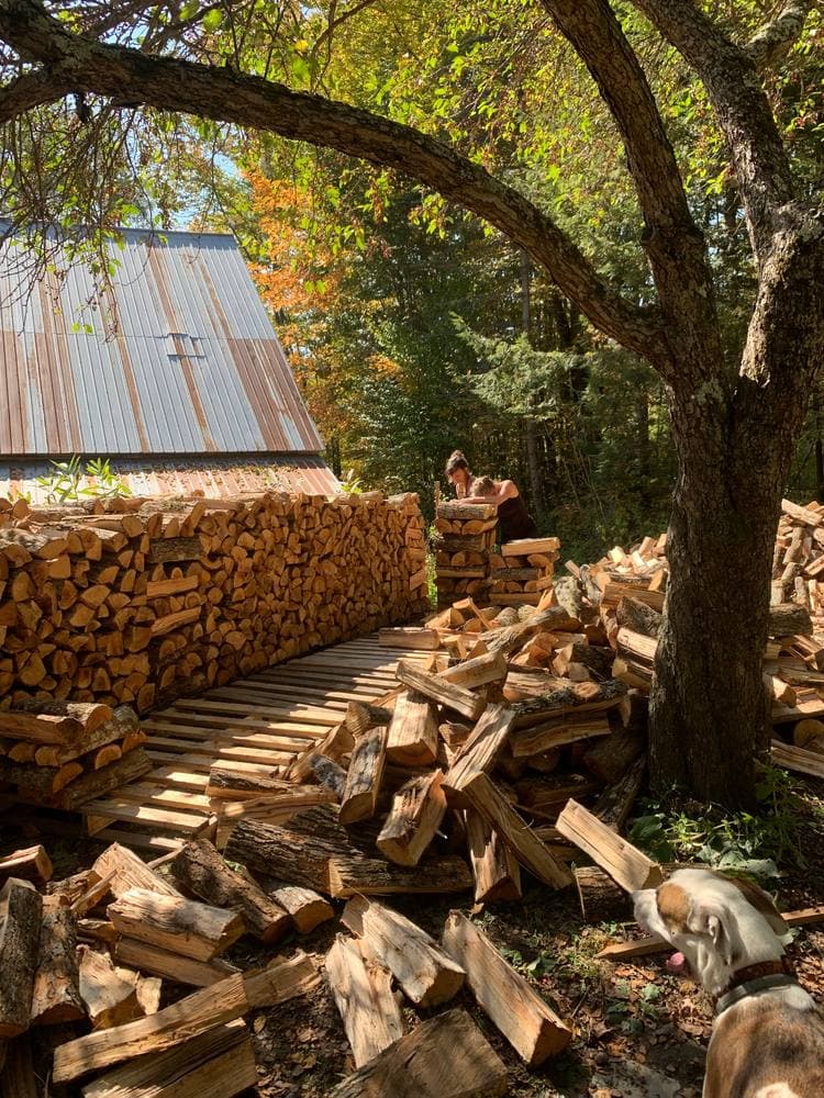 A long woodpile rising beside the shop's metal roof, the dog inspecting the spill of splits