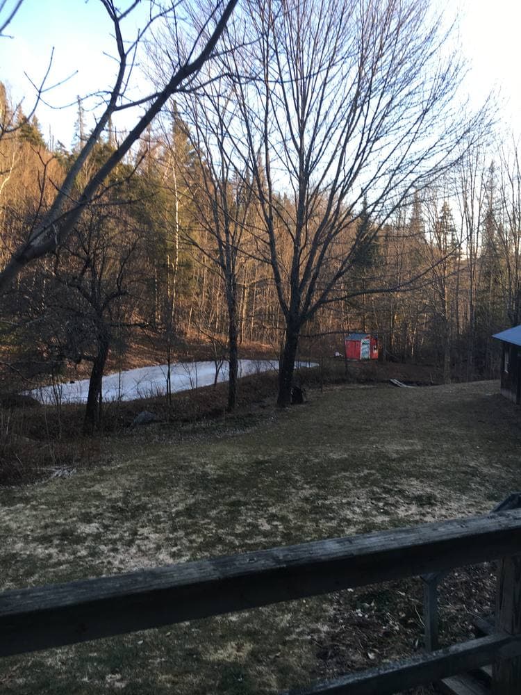 Mud season from the porch rail, bare trees, a patch of old snow, and the red shed