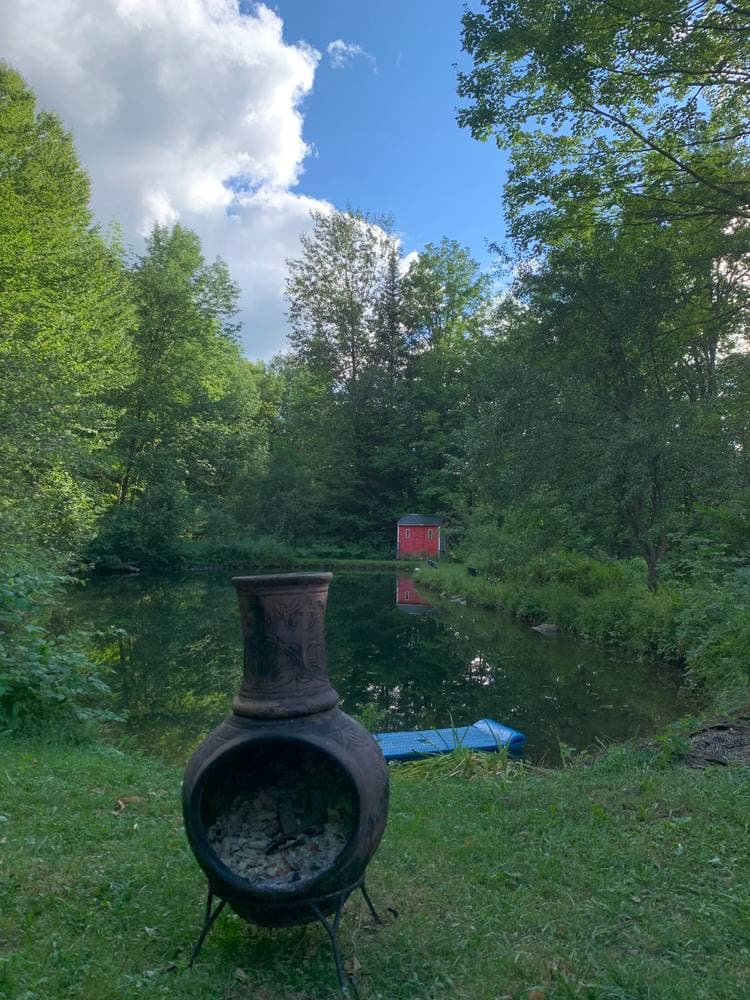 The clay chiminea standing by the pond, the red shed reflected in the water