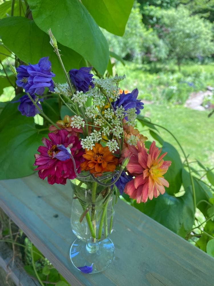A glass of columbine, zinnias, and Queen Anne's lace cut from the gardens, set on the porch rail