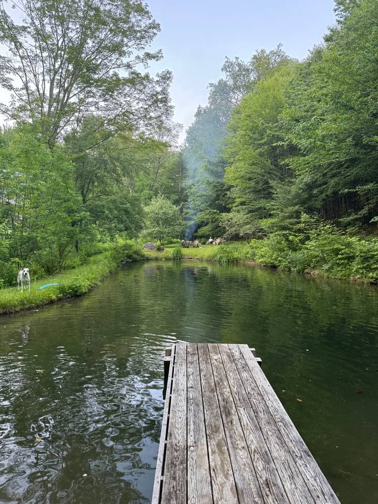 The wooden dock reaching into the still green pond, woodsmoke drifting on the far bank and a dog watching from the grass