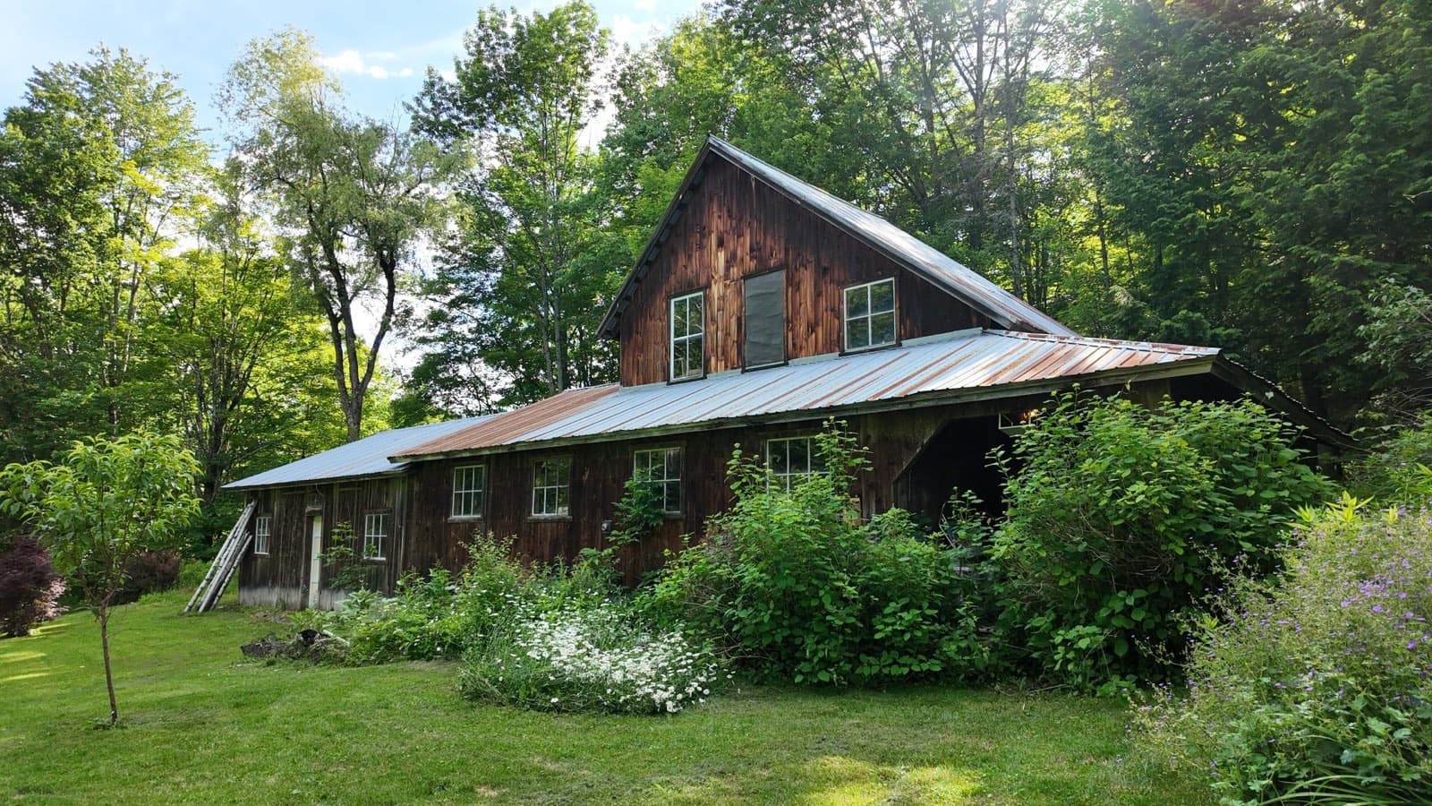Blake's shop in full summer, weathered boards and a rusted metal roof rising behind a thick bank of lupines and flowering gardens