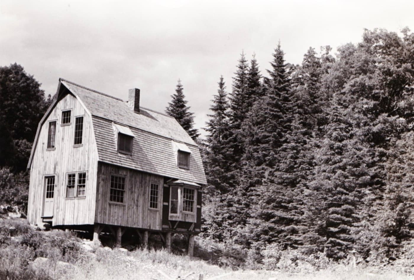 Black and white photograph of the gambrel-roofed house standing on posts among young spruce trees