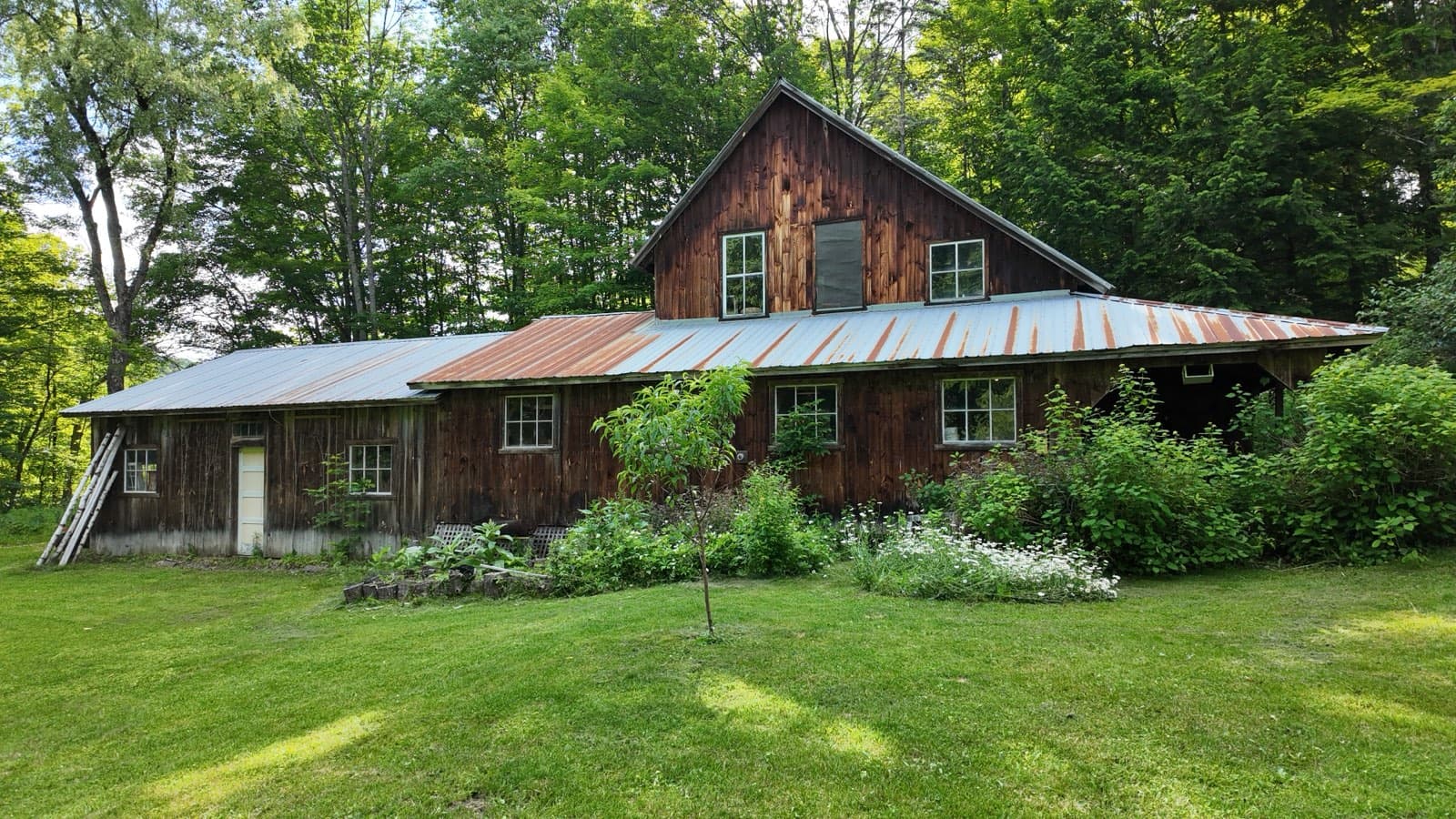 Blake's shop today, weathered board walls and a rusted metal roof in full summer sun, Aletta's gardens and a young tree on the lawn out front